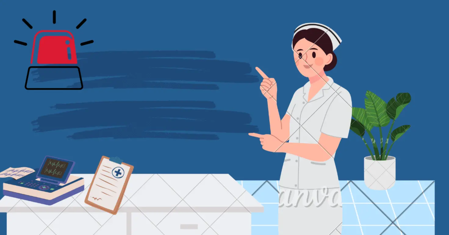 Overview of ER Nurse career pathway